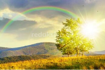 Adad9e1c158632898555546343211045794.jpg