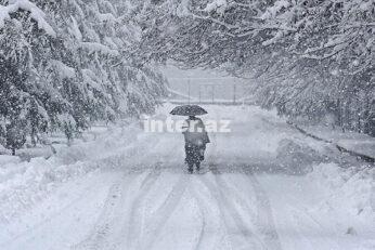 Hava.jpg