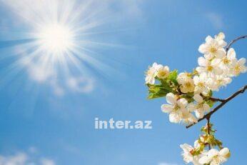 Hava Yaz1711876503.jpg