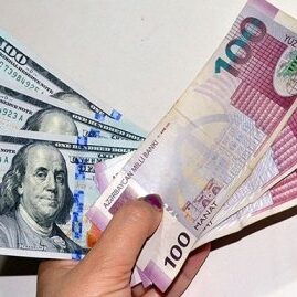 Manatdollar 6a0570fb3df8a